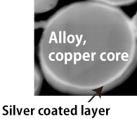 [Conductive Material] Atomized Powder Enlarged cross section of a particle