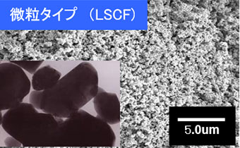 複合酸化物粉（燃料電池材料）外観「微粒タイプ（LSCF)」