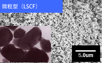 复合氧化物粉（燃料电池材料）外观 “微粒型（LSCF）”