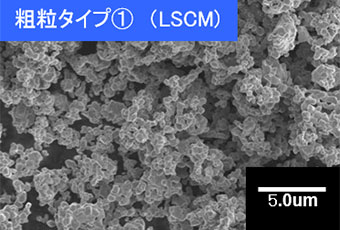 複合酸化物粉（燃料電池材料）外観「粗粒タイプ（1）（LSCM)」