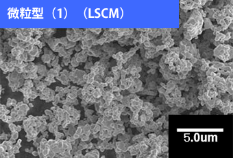 复合氧化物粉（燃料电池材料）外观 “微粒型（1）（LSCM）”