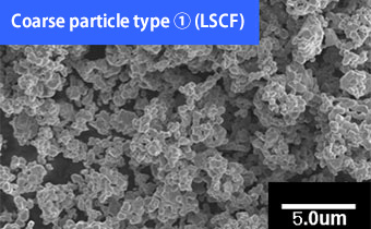Appearance of Complex Oxide Powder: Coarse particle type(1) (LSCF)