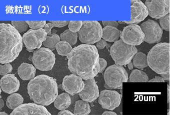 复合氧化物粉（燃料电池材料）外观 “微粒型（2）（LSCM）”