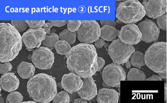 Appearance of Complex Oxide Powder: Coarse particle type(2) (LSCF)